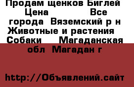 Продам щенков Биглей › Цена ­ 15 000 - Все города, Вяземский р-н Животные и растения » Собаки   . Магаданская обл.,Магадан г.